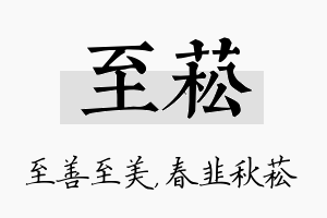 至菘名字的寓意及含义