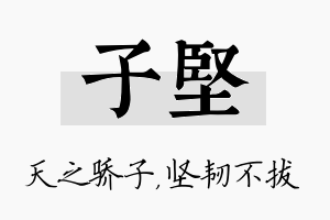 子坚名字的寓意及含义