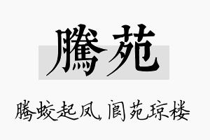 腾苑名字的寓意及含义