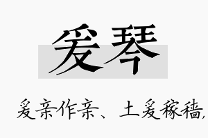 爰琴名字的寓意及含义