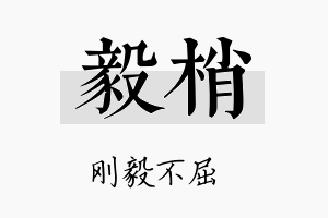 毅梢名字的寓意及含义