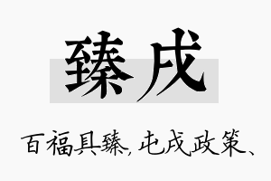 臻戌名字的寓意及含义