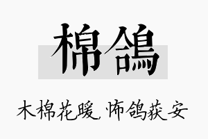 棉鸽名字的寓意及含义