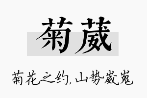 菊葳名字的寓意及含义