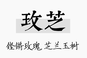 玫芝名字的寓意及含义