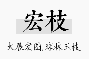 宏枝名字的寓意及含义