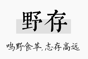 野存名字的寓意及含义