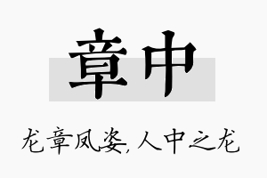 章中名字的寓意及含义