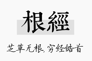 根经名字的寓意及含义