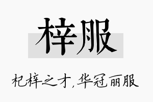 梓服名字的寓意及含义