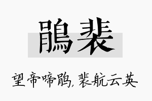 鹃裴名字的寓意及含义