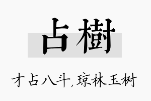 占树名字的寓意及含义