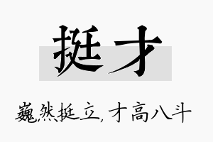 挺才名字的寓意及含义