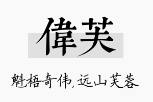 伟芙名字的寓意及含义