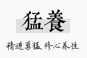 猛养名字的寓意及含义