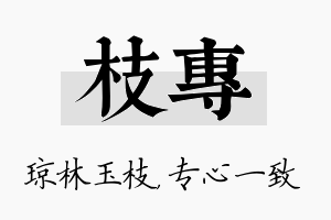 枝专名字的寓意及含义