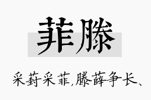 菲滕名字的寓意及含义