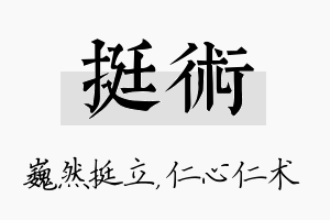 挺术名字的寓意及含义