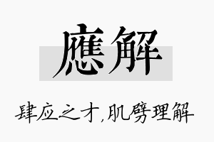 应解名字的寓意及含义