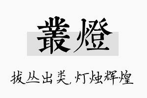 丛灯名字的寓意及含义