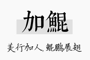 加鲲名字的寓意及含义