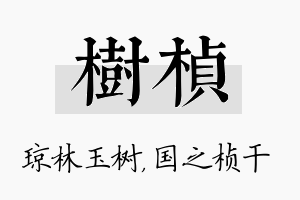 树桢名字的寓意及含义