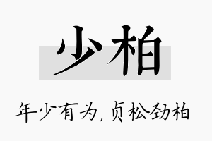 少柏名字的寓意及含义