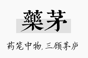 药茅名字的寓意及含义