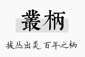 丛柄名字的寓意及含义