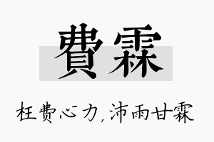 费霖名字的寓意及含义