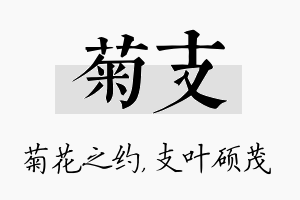 菊支名字的寓意及含义