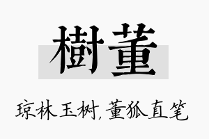 树董名字的寓意及含义