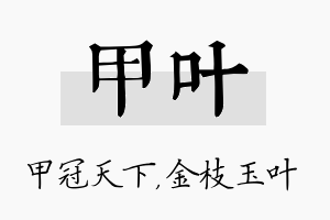 甲叶名字的寓意及含义