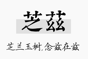 芝兹名字的寓意及含义