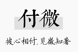 付微名字的寓意及含义