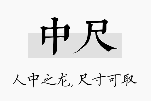 中尺名字的寓意及含义