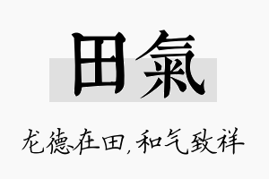 田气名字的寓意及含义