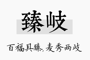 臻岐名字的寓意及含义