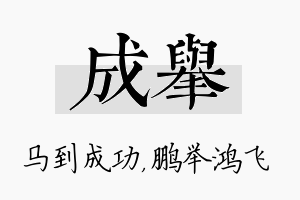 成举名字的寓意及含义