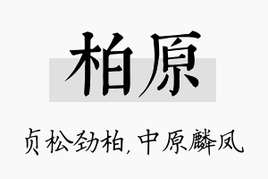 柏原名字的寓意及含义