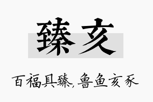 臻亥名字的寓意及含义