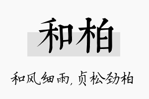 和柏名字的寓意及含义