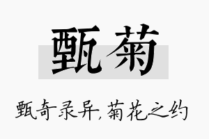 甄菊名字的寓意及含义