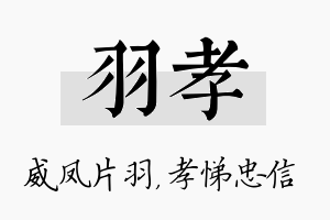 羽孝名字的寓意及含义