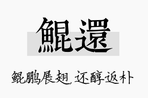 鲲还名字的寓意及含义