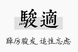 骏适名字的寓意及含义