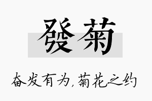 发菊名字的寓意及含义