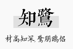 知鹭名字的寓意及含义