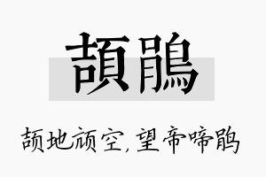 颉鹃名字的寓意及含义