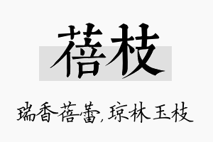 蓓枝名字的寓意及含义